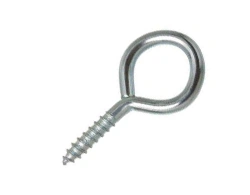 ASTM A193 Gr. B8M Eye Screw
